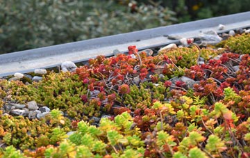the cost of Stairhaven green roof installation