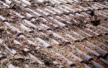 Stairhaven roof cleaning companies