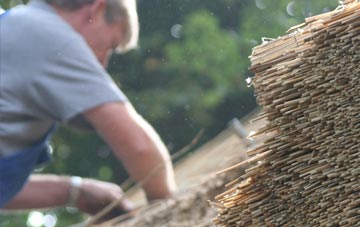 professional Stairhaven thatchers