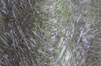 Stairhaven fibreglass roof work